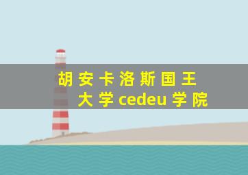 胡 安 卡 洛 斯 国 王 大 学 cedeu 学 院